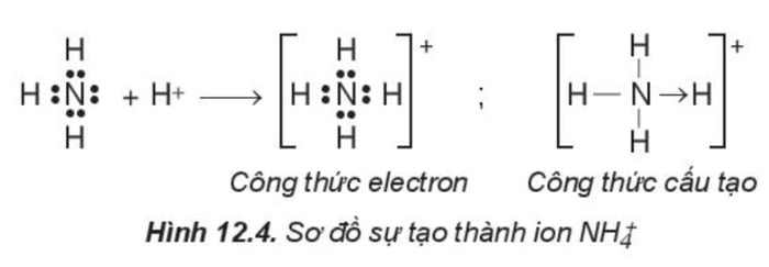 Liên kết cộng hóa trị